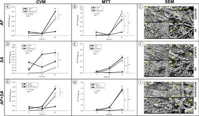 Microbial Warfare on Three Fronts: Mixed Biofilm of Aspergillus fumigatus and Staphylococcus aureus on Primary Cultures of Human Limbo-Corneal Fibroblasts